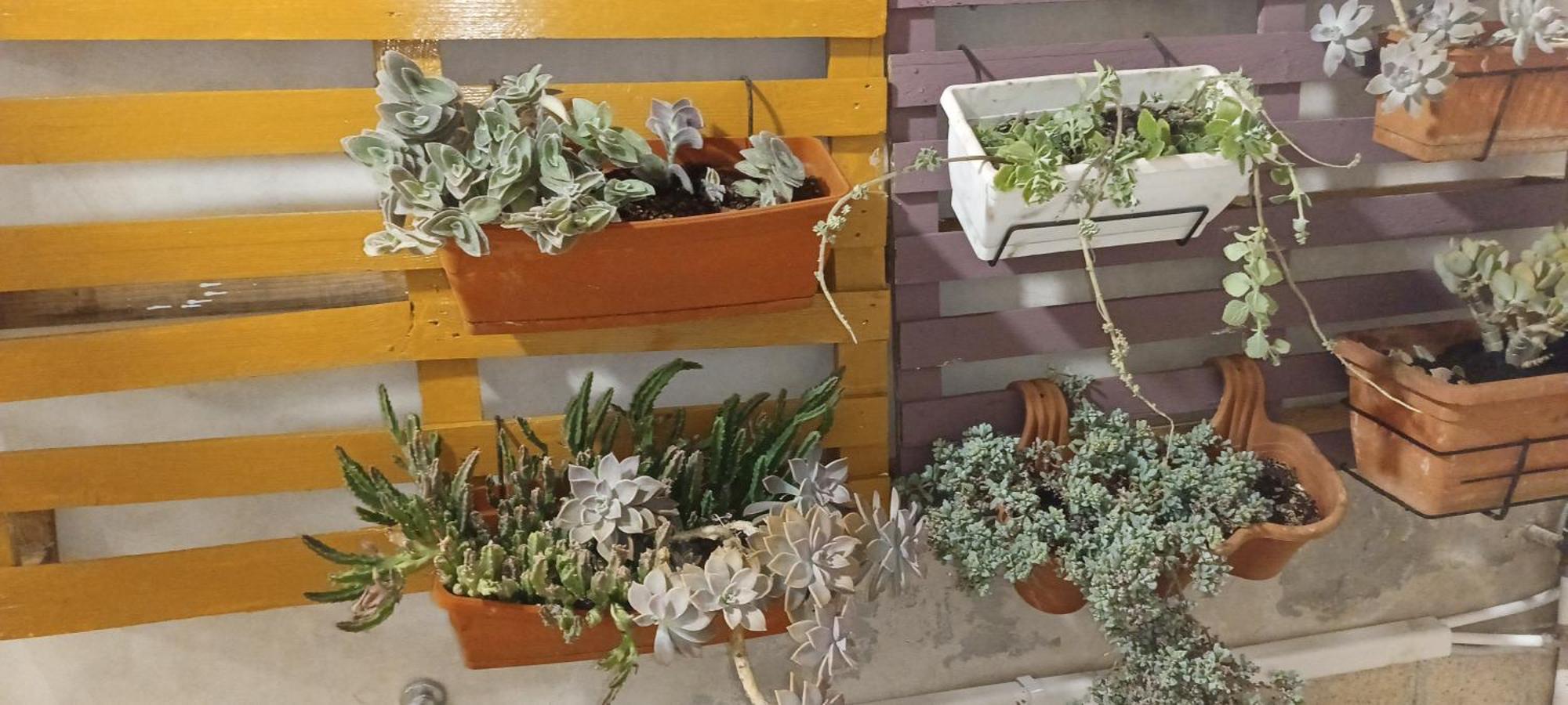 シラクーサCasa Ierone L'Etneoアパートメント エクステリア 写真